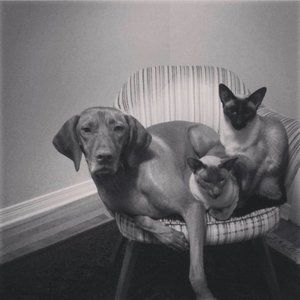 Meet your Posher, Kaley